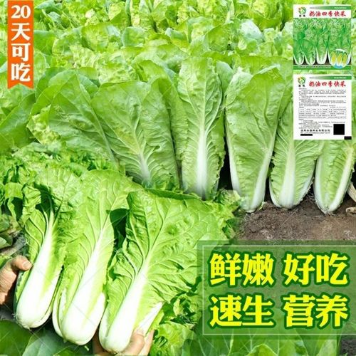 办公用品入库单模板，这几个细节别忽略